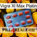Vigra Xl Max Platinum 06